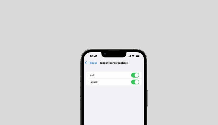 Vad är haptik iPhone